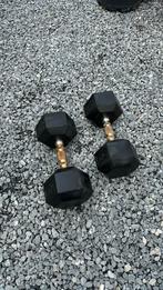 Dumbbells 2x 15KG Roque igst!, Sport en Fitness, Fitnessmaterialen, Ophalen, Gebruikt, Benen, Dumbbell