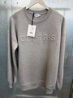 Chptrs chptr s trui knit sweater 38 grijs Celeste, Ophalen of Verzenden, Zo goed als nieuw, Maat 38/40 (M), Grijs