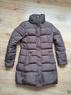 Tommy Hilfiger gewatteerde jas - Maat S, Kleding | Dames, Jassen | Winter, Bruin, Ophalen of Verzenden, Zo goed als nieuw, Maat 36 (S)