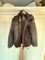 Originele Parajumpers Jas Heren Maat M, Ophalen of Verzenden, Gedragen, Maat 48/50 (M)