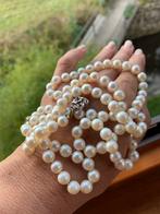 Opera parelketting Akoya cultivé parels, gouden slot saffier, Verzenden, Wit, Zo goed als nieuw, Met edelsteen