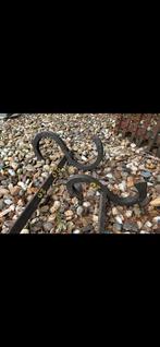 2 Oude ijzeren muurankers, Antiek en Kunst, Ophalen