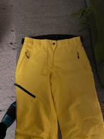 Icepeak skibroek maat 42, Ophalen, Zo goed als nieuw, Maat 42/44 (L), Broek