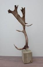 Groot DAMHERT GEWEI op houten sokkel (ref. B)