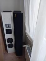 Pied Piper Boxen, Audio, Tv en Foto, Luidsprekers, Gebruikt, 60 tot 120 watt, Front, Rear of Stereo speakers, Ophalen
