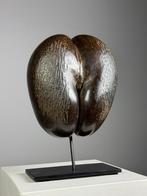 Coco de Mer op custom standaard, Antiek en Kunst, Ophalen