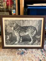 Vero Shaw Leonberger Hond Prent, Ophalen of Verzenden