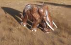 Handgesneden houten olifant, Ophalen