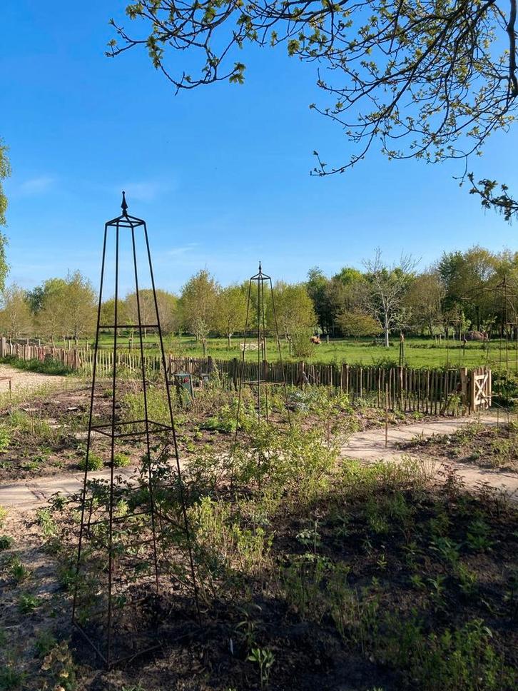 Obelisk, staal, 240cm, 10mm dik, 3 maten, vanaf €75, Tuin en Terras, Tuinhekken en Hekwerk, Nieuw, Tuinhek, IJzer, Ophalen