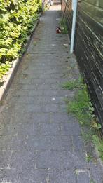34m2 getrommelde antraciete abbeystones bestrating, Tuin en Terras, Tegels en Klinkers, Ophalen, Gebruikt, 10 m² of meer, Beton