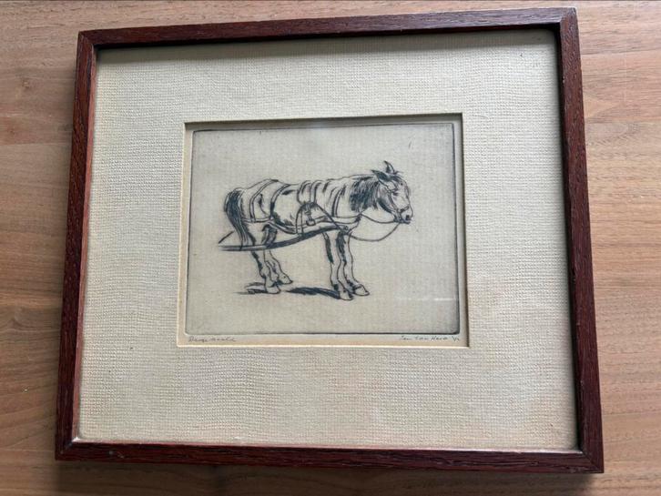Jan ten Have Droge naald techniek De Ploeg, Antiek en Kunst, Kunst | Etsen en Gravures, Ophalen of Verzenden