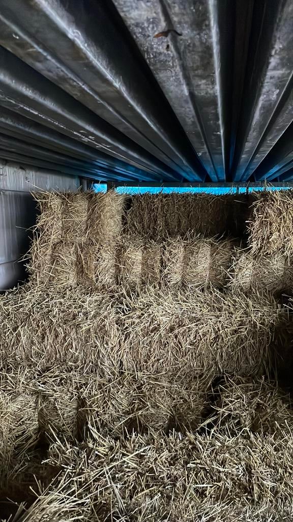 Kleine stro pakken 3euro, Ophalen of Verzenden, Vee