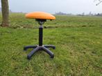 Wiebelkruk - Actief zitten, Gebruikt, Oranje, Ophalen of Verzenden, Bureaukruk