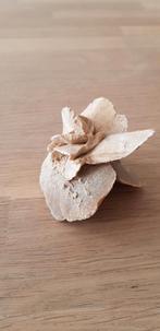 Woestijnroos, zandroos , Ophalen of Verzenden, Mineraal