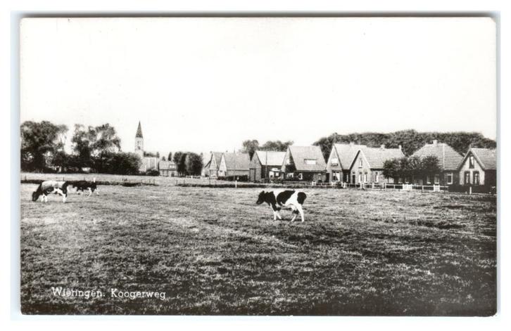 Wieringen, Koogerweg, Verzamelen, Ansichtkaarten | Nederland, Ongelopen, Noord-Holland, 1940 tot 1960, Verzenden
