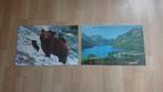 Placemats Canada, Ophalen of Verzenden, Nieuw, Bord