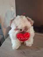 Wasbeer, Ophalen of Verzenden, Zo goed als nieuw, Beer