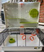Ferplast Hamsterkooi Olimpia, Ophalen of Verzenden, Minder dan 75 cm, Hok, Minder dan 60 cm
