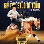 Ter overname dekking GP the stud in town, Dieren en Toebehoren, Ophalen of Verzenden