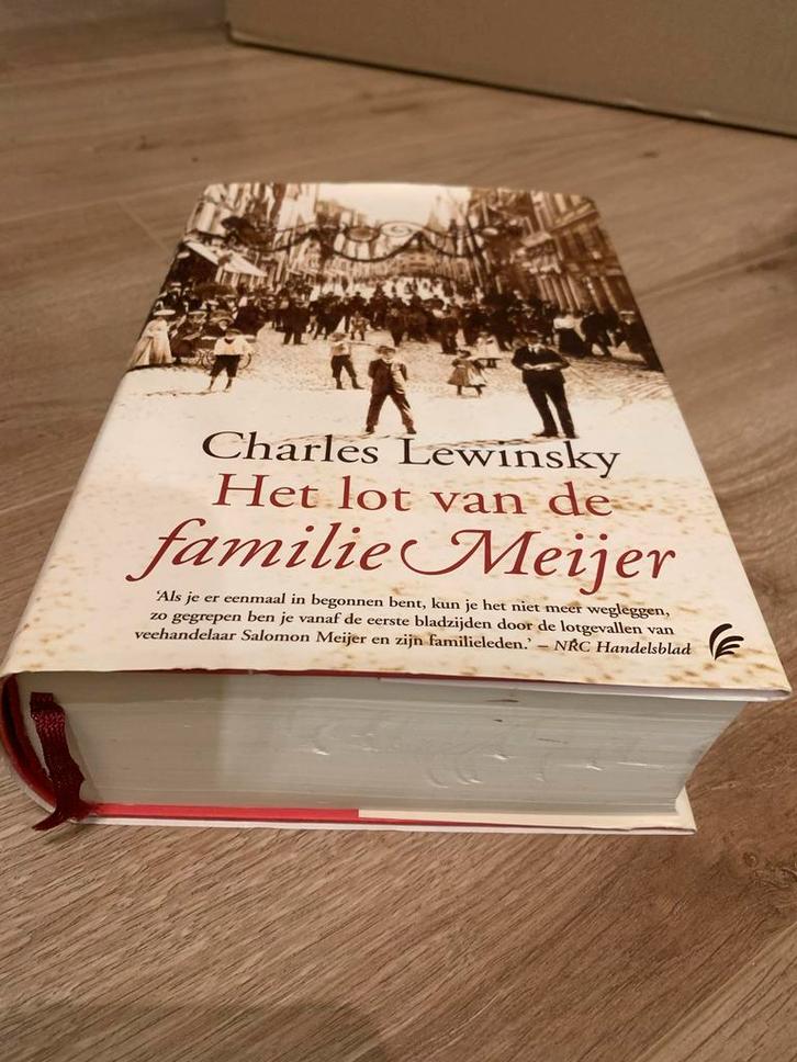 Het lot van de familie Meijer - Charles Lewinsky, Boeken, Romans, Zo goed als nieuw, Nederland, Ophalen of Verzenden