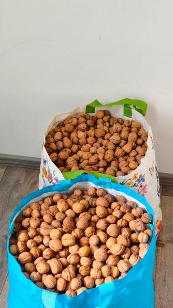 Walnoten – €3,99 per kg (Vaste Prijs) Gedroogd - 2025 OP=OP beschikbaar voor biedingen