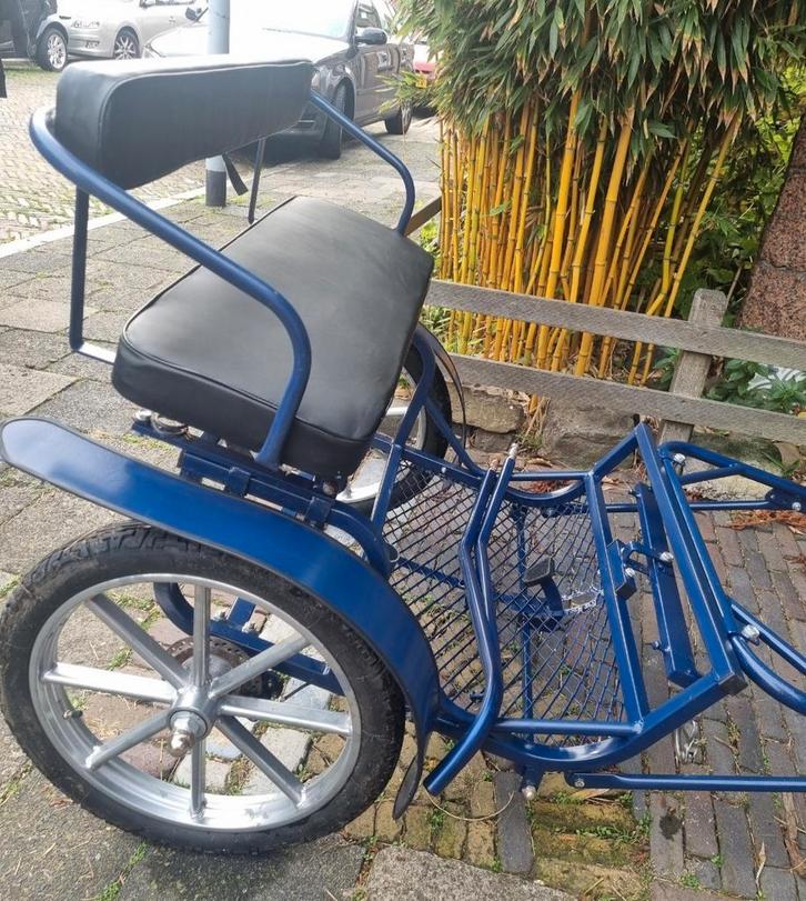 Sulky, Dieren en Toebehoren, Paarden en Pony's | Hoofdstellen en Tuigage, Overige soorten, Ophalen