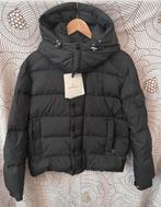 ORIGINELE MONCLER VEZERE DONSJAS ZWART HEREN XL/4 NP €1950, Kleding | Heren, Ophalen of Verzenden, Nieuw, Maat 56/58 (XL), Zwart