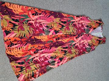 Zomerjurk paprika  beschikbaar voor biedingen
