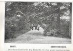zeist  zeisterbosch  1900  9x13cm  achterkant blank, Verzamelen, Foto's en Prenten, Gebruikt, Verzenden, Voor 1940, Prent