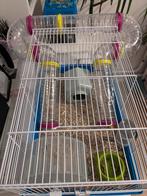 Hamsterkooi met toebehoren, Dieren en Toebehoren, Minder dan 60 cm, Kooi, Ophalen of Verzenden, Zo goed als nieuw