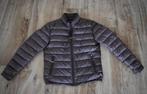MooRER **donsjas** | Exclusive, Ophalen of Verzenden, Zo goed als nieuw, Maat 48/50 (M)