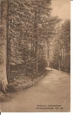 Ulvenhout Princes Julianalaan Ulvenhoutsche Bosch, Ophalen of Verzenden, 1920 tot 1940, Gelopen, Noord-Brabant