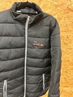 Redbull Racing Jas - Maat L, Ophalen of Verzenden, Zo goed als nieuw, Maat 52/54 (L), Zwart