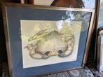 Krab Schilderij Ingelijst - Uniek Kunstwerk, Antiek en Kunst, Ophalen