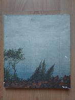 Die Zauberflöte - Wolfgang Amadeus Mozart, Ophalen of Verzenden, Zo goed als nieuw, Schilder- en Tekenkunst