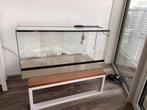 Terrarium 100x50x50, Ophalen, Nieuw, Terrarium of Paludarium
