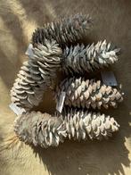 Kerst Dennenappels XL 6 stuks, Diversen, Ophalen, Nieuw