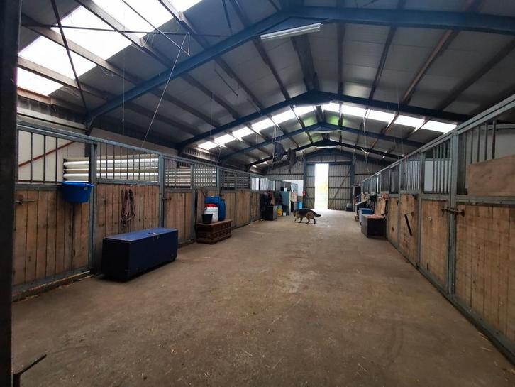 Enkele boxen beschikbaar  voor pony's tm E maat, Dieren en Toebehoren, Stalling en Weidegang