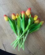 Bosje neptulpen oranje met geel, Ophalen of Verzenden, Zo goed als nieuw, Binnen