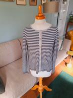 Vestje van Marc o'polo maat s, Kleding | Dames, Truien en Vesten, Blauw, Ophalen of Verzenden, Zo goed als nieuw, Marc O'Polo