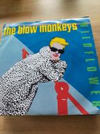 The Blow Monkeys , wild flower, Ophalen of Verzenden, Zo goed als nieuw