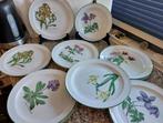 11 platte Borden Seltmann Weiden Renate Flora Bloemen, Huis en Inrichting, Keuken | Servies, Ophalen of Verzenden, Zo goed als nieuw