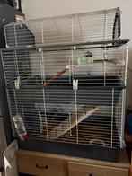 Knaagdieren kooi / flat cavia konijn ect, Ophalen, Kooi, Gebruikt, Cavia