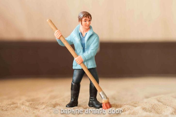 Stalhulp gezocht met mogelijkheid tot rijden, Diensten en Vakmensen, Dieren | Paarden | Verzorging, Oppas en Les, Ruiter of Bijrijder