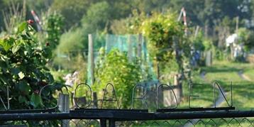 Start ook met je eigen moestuin bij volkstuin D'n Goarden  beschikbaar voor biedingen