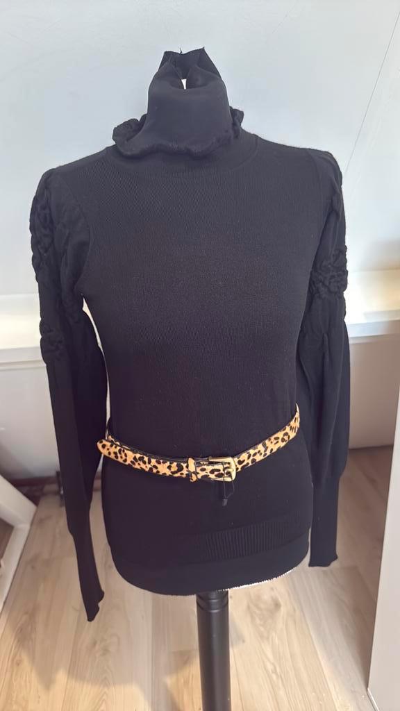 Sita murt coltrui merino. Wool 40, Kleding | Dames, Truien en Vesten, Zo goed als nieuw, Maat 38/40 (M), Zwart, Ophalen of Verzenden