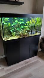 Juwel rio 350, Dieren en Toebehoren, Vissen | Aquaria en Toebehoren, Ophalen, Zo goed als nieuw, Gevuld zoetwateraquarium