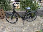 Cortina Common Family - Als Nieuw! Framemaat 57, Versnellingen, 56 cm of meer, Zo goed als nieuw, Ophalen