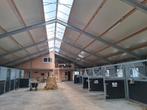 Pony box  4 x 2m volpension mogelijk, Dieren en Toebehoren, Stalling en Weidegang, Stalling, 2 of 3 paarden of pony's