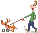 Honden uitlaatservice ‍, Variabele uren, LBO / VMBO, Starter, Geschikt als bijbaan